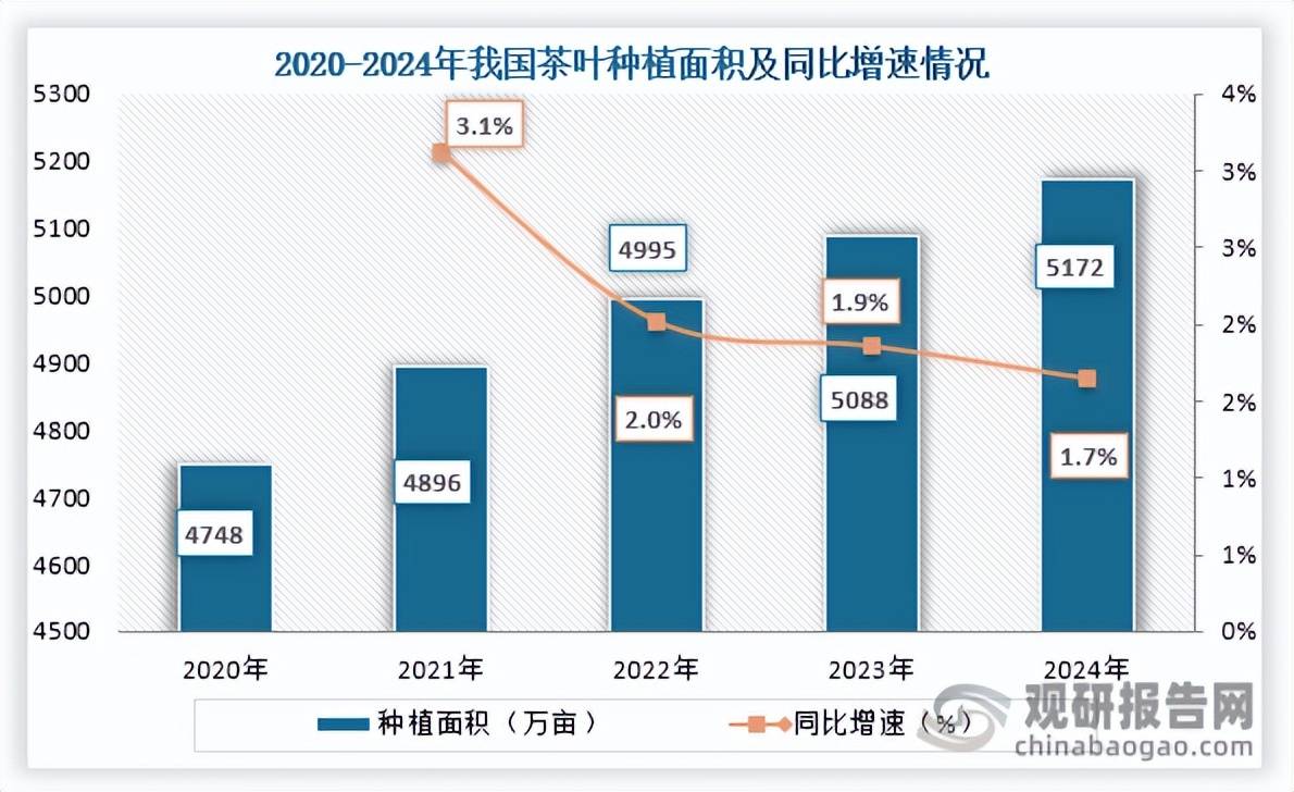 中国茶叶行业发展趋势分析与未来投资预测报告（2025-2032年）